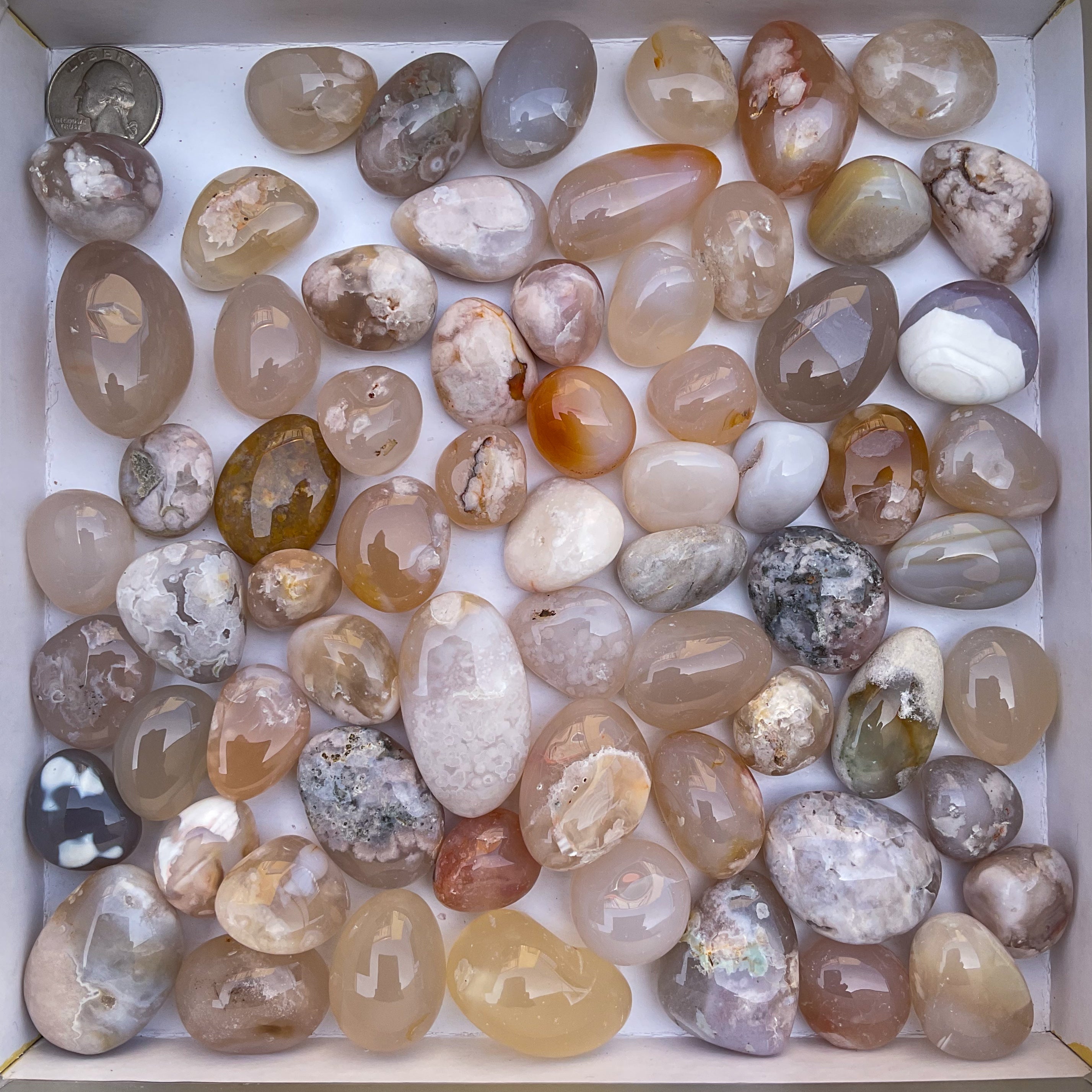 Wholesale tumbled stones bulk lot in flower agate