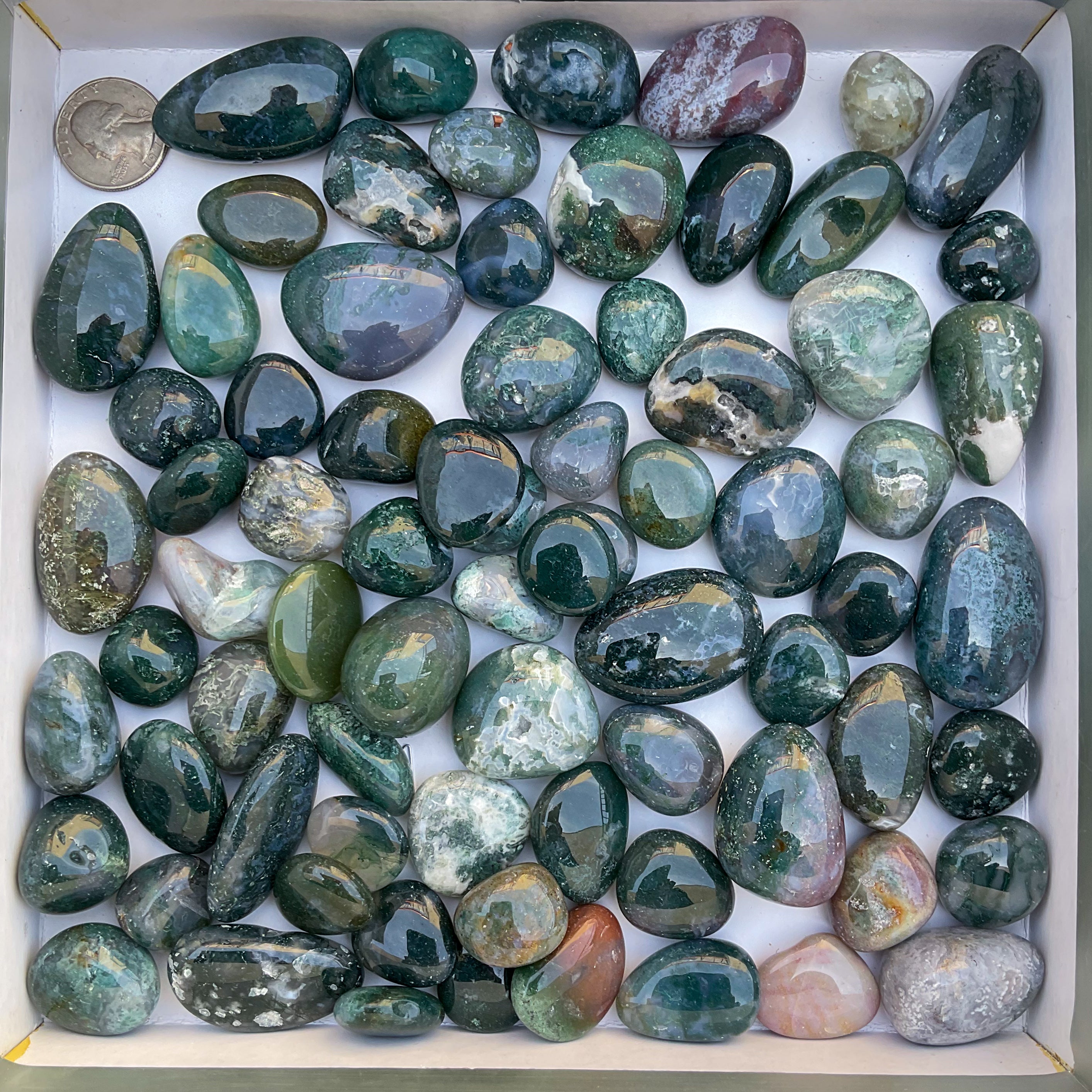 Moss Agate Tumbled Stones | Wholesale