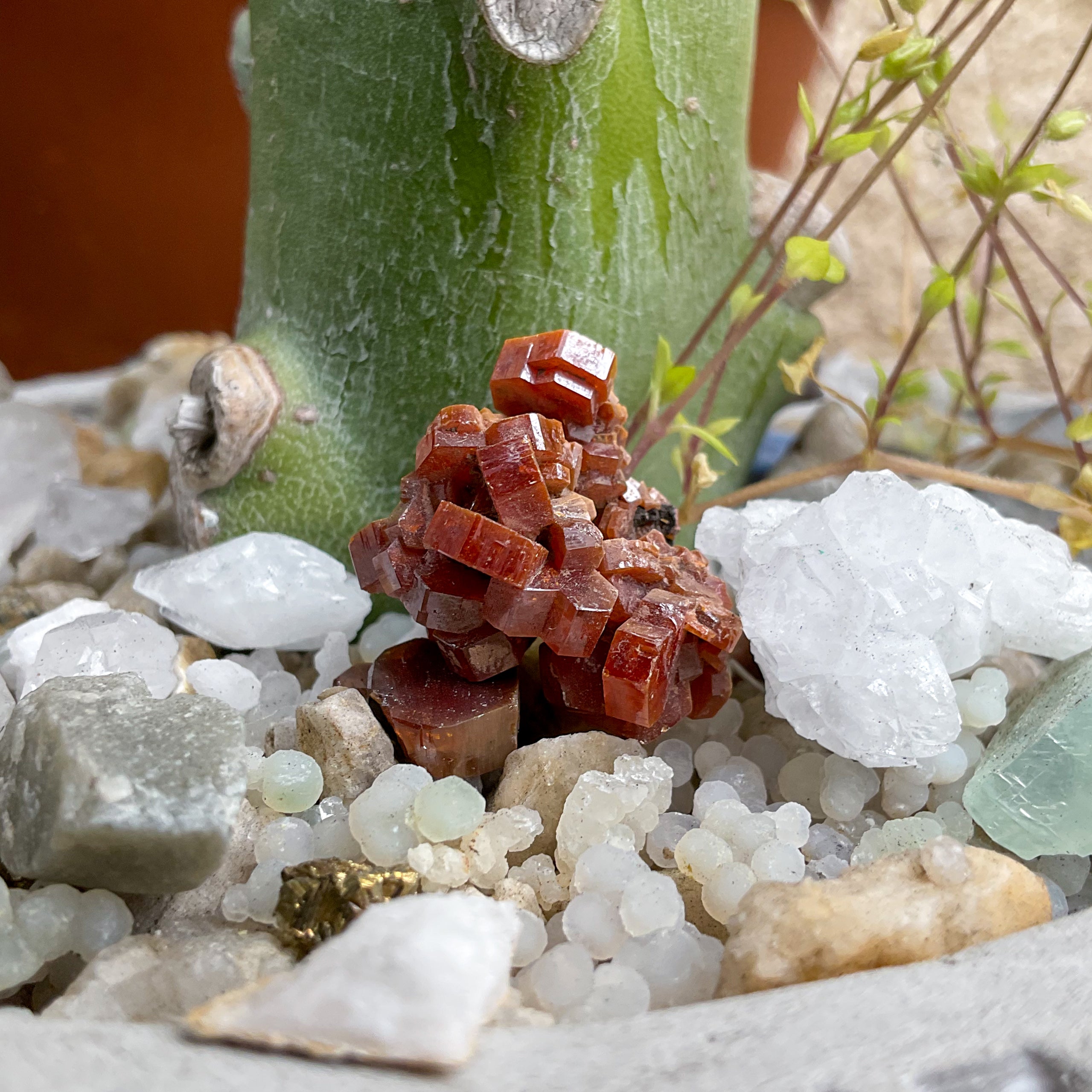 Crystal Cluster in Vanadinite