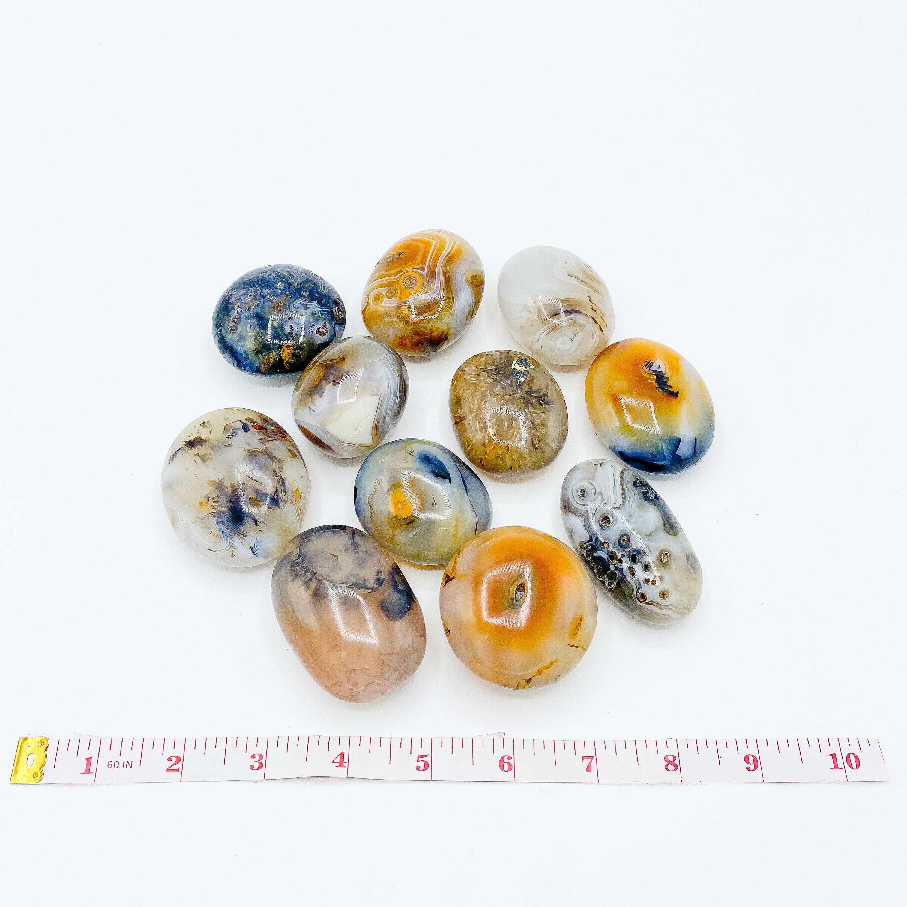 Agate Palm Stones | Wholesale