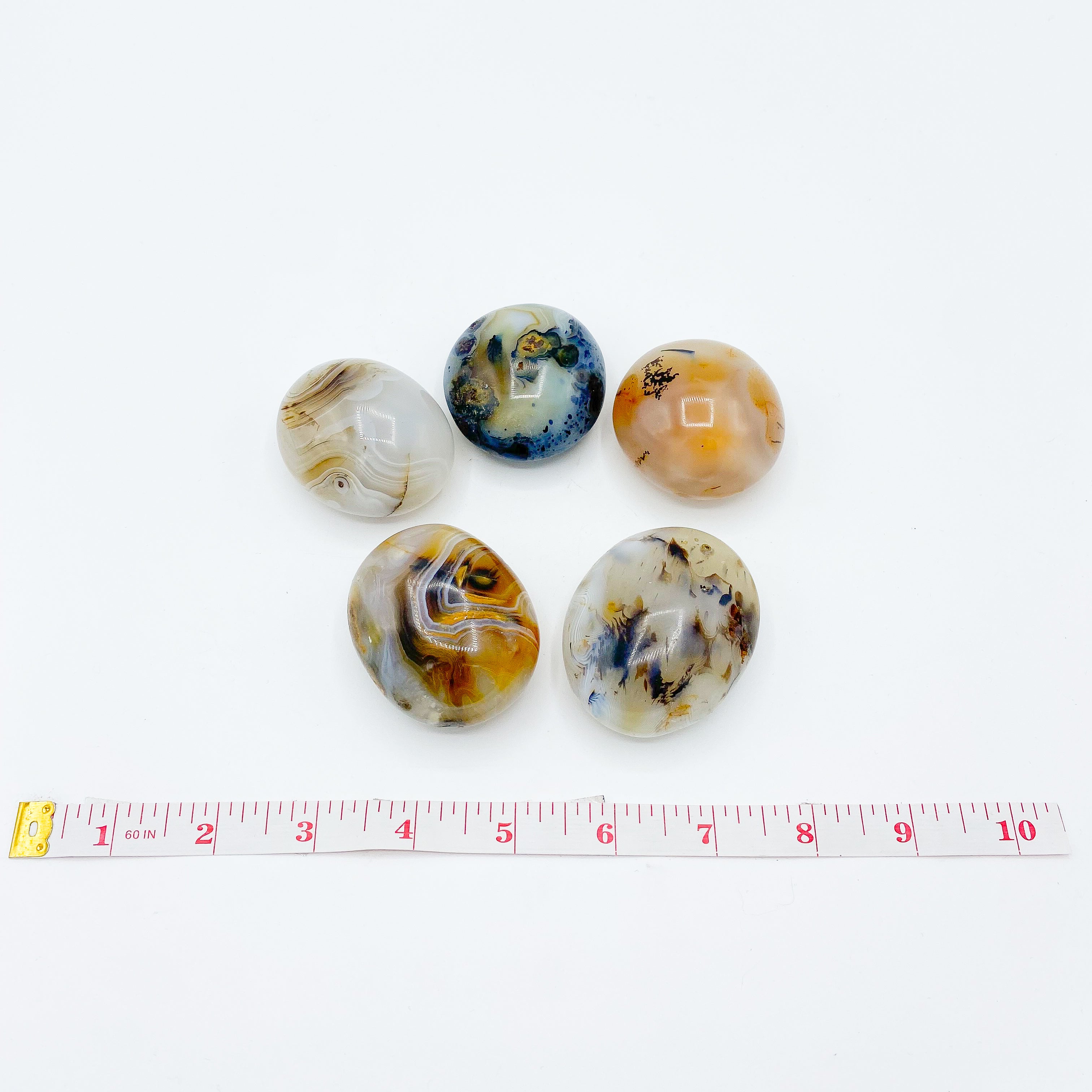 Agate Palm Stones | Wholesale