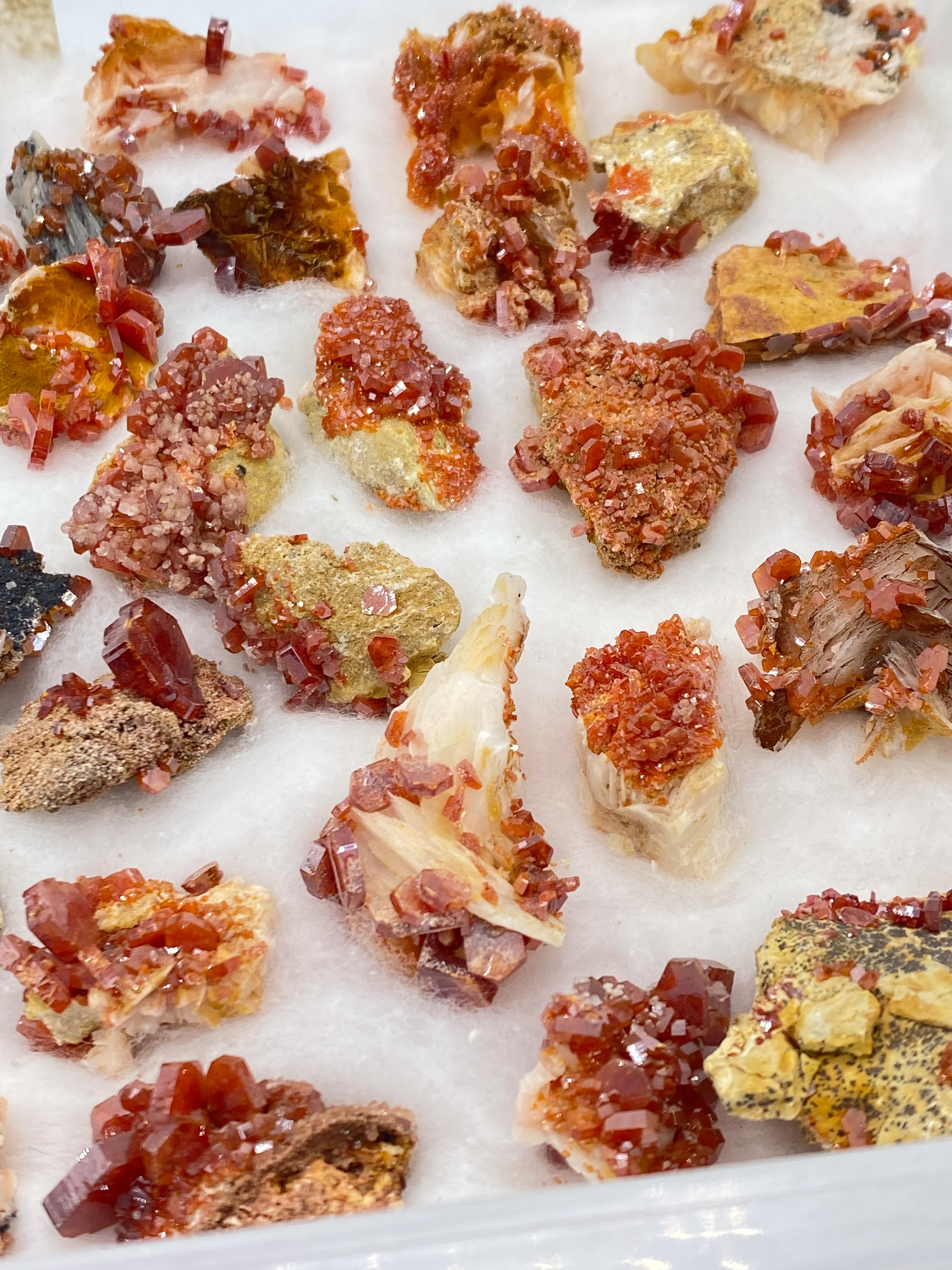 Vanadinite Specimen Flat | Wholesale Lot #112