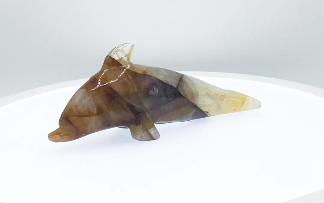 Golden Healer Quartz Carved Dolphin