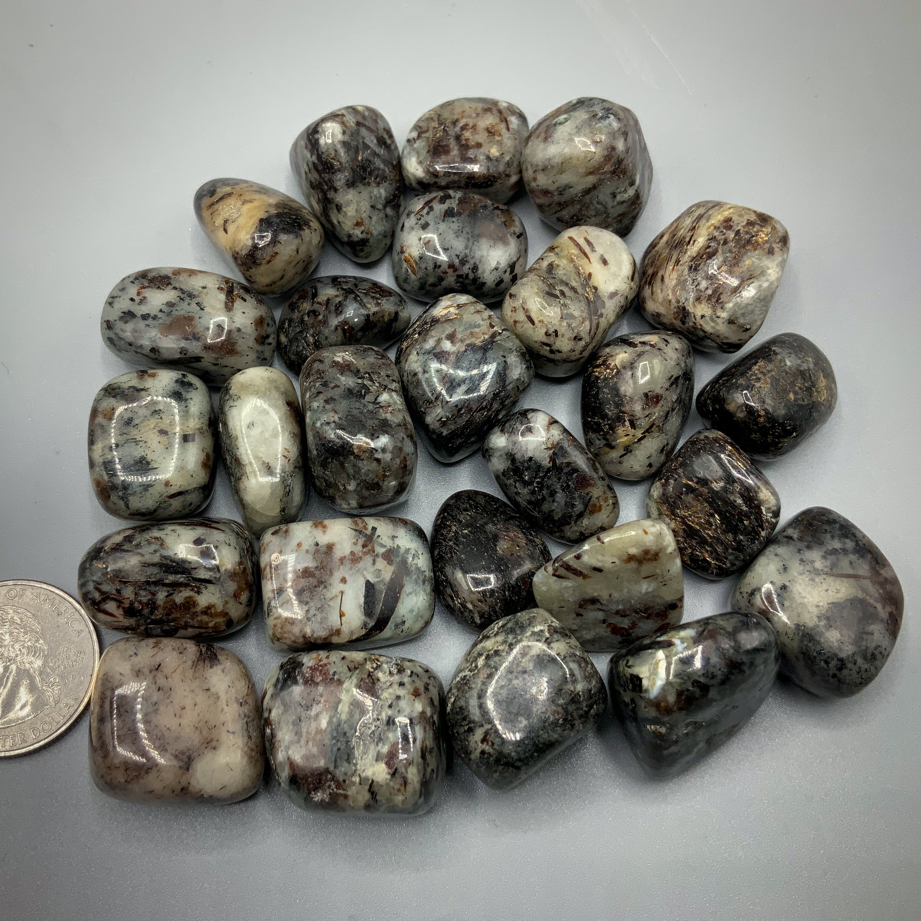 Astrophyllite Tumbled Stones | Wholesale