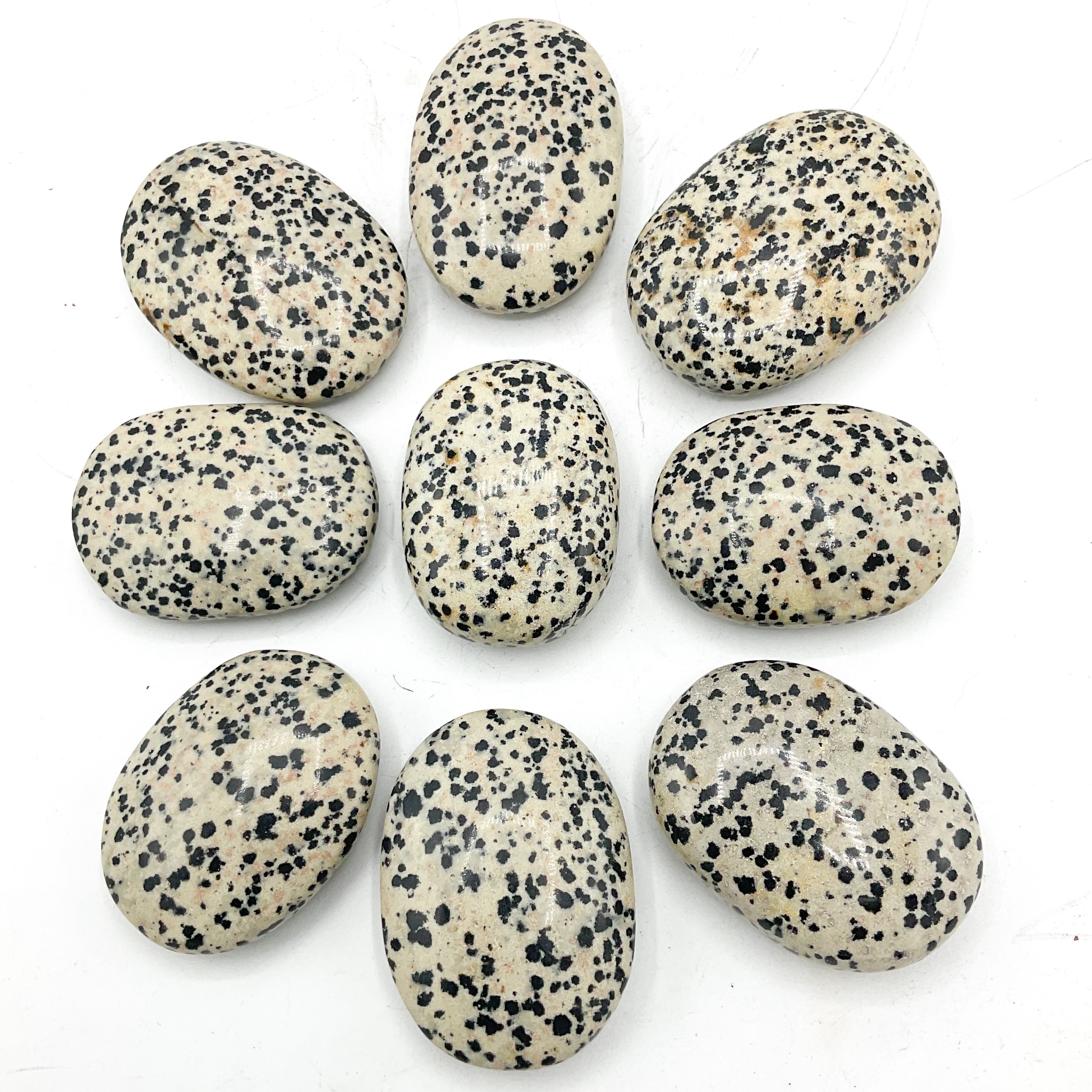 dalmation jasper crystal healing palm stones