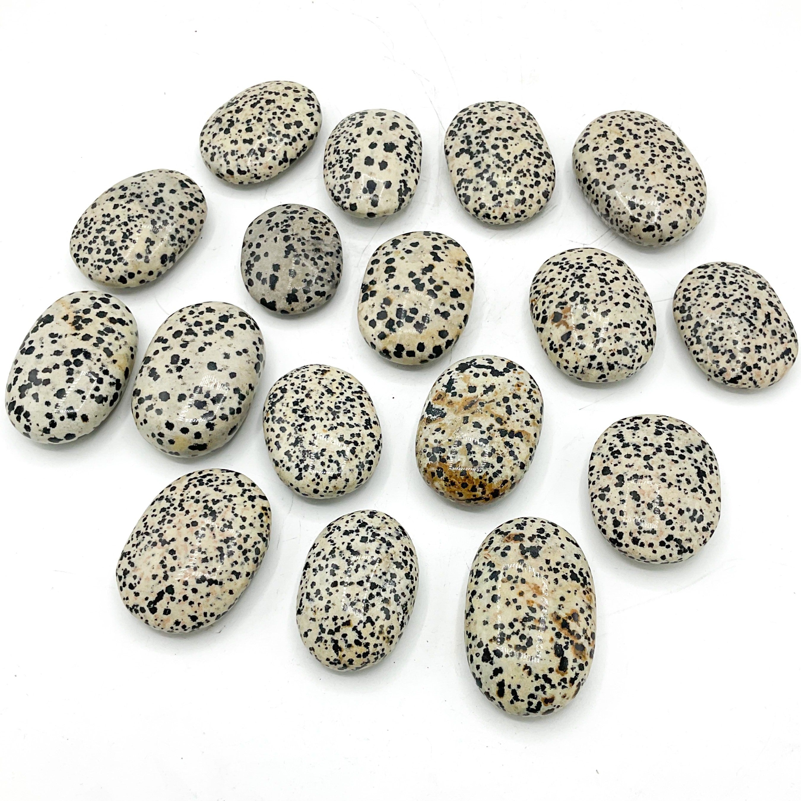 dalmation jasper crystal healing palm stones