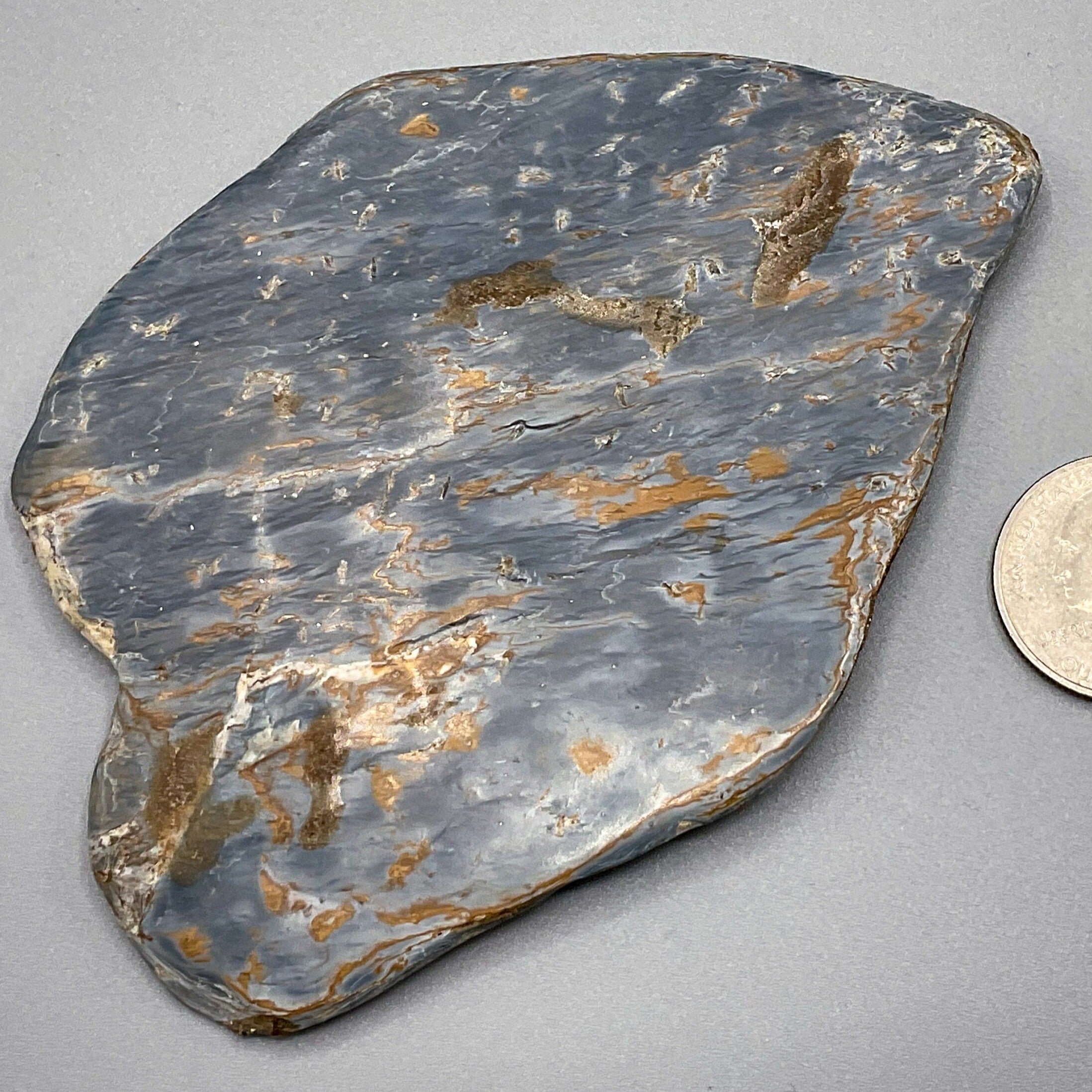 Pietersite Polished Stone Free Form | 3.5inch