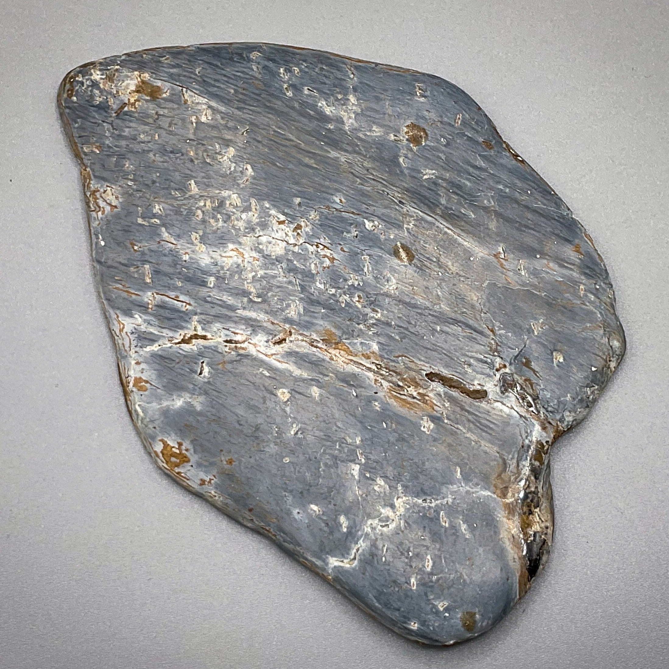 Pietersite Polished Stone Free Form | 3.5inch