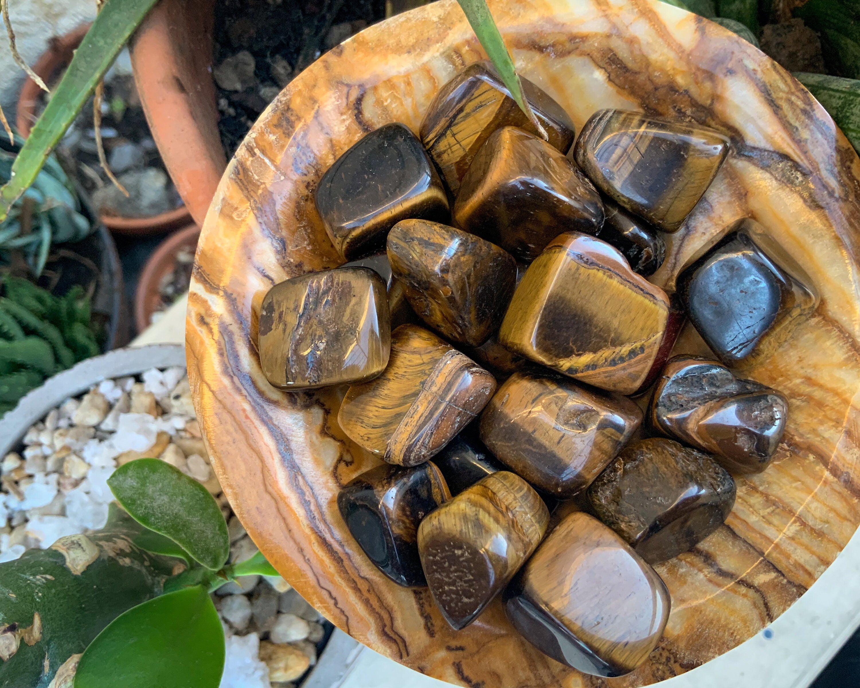 Tiger's eye tumbled stone tumbled tigers eye pebble polished pocket stone